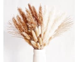 Droogbloemen, decoratie, kleine natuurlijke gedroogde boeketten van pampasgras, boho-decoratie, voor woonkamer, tafel, slaapkamer, bruiloften, badkamer, 70 stuks