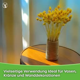 Dekogras Gedroogd Gras Siergras Kanariegras Phalaris Droogbloemen Natuurlijk Boho Ca. 100 Stuks 80 g Natuurlijke Kleur — thumbnail 2