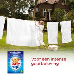 Robijn - Intense Morgenfris Geurbuiltjes - 24 stuks - Voordeelverpakking — thumbnail 3
