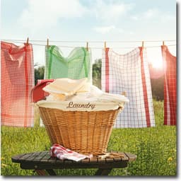Papillon Wasmachine beschermer mat - 60x60 cm. - Wasmand & Theedoek — thumbnail 2