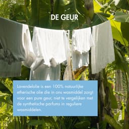 The Green Junk - 100% Natuurlijk Wasmiddel 5L Navulling - Zonder Synthetisch Parfum - Wasmiddel Sensitive - Vloeibaar Baby Wasmiddel - Biologisch Wasmiddel - 167 Wasbeurten — thumbnail 5