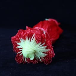 Voedselnetjes - Opbergzakken - Fruit Beschermen - Trekkoord Sluiting - 100 stuks - Rood — thumbnail 5