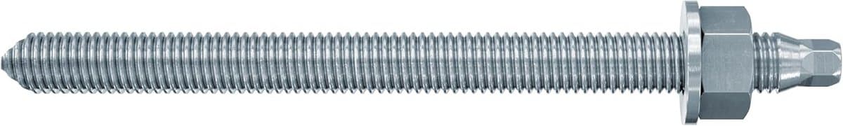 Ankerstang - Bevestigingsstang - Machinebevestiging Binnenshuis - Met Mortelpatroon - 20 x 220 mm - Zilverkleurig — afbeelding 1