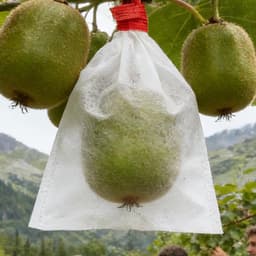 Fruitzakken - Beschermzakken - Gewassen Beschermen - Met Trekkoord - 100 stuks - Wit — thumbnail 4
