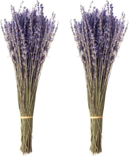 Gedroogde lavendelboeketten, 43 cm, natuurlijke gedroogde lavendelbloemen, voor thuis, woonkamer, bruiloftsfotografie, knutselen — thumbnail 2