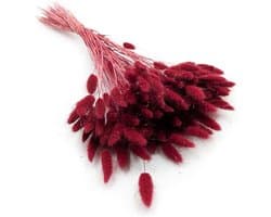 Dekogras gedroogd gras, siergras, konijnenstaarten, Lagurus Ovatus, fluwelen gras, hazenstaartgras, gedroogde bloemen, natuurlijk, boho, 120-150 stuks, 100 g, rode wijn
