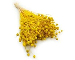 Dekogras Gedroogd Gras Vlas Siergras Linnen Droogbloemen Natuurlijk Boho 80 Stuks Geel