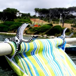 SnelShoppen - Grote Strandclips Handdoek Wasknijpers voor Strandlaken en Strandstoel - 4 Stuks in Zwart en Vis Design - Ideaal voor Camping, Strand en — thumbnail 3