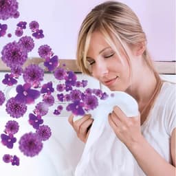 Lenor – Color – Amethist Bloemdroom – 2-in-1 Wasmiddel – 3x 3,85 L – 210 Wasbeurten - Voordeelverpakking — thumbnail 5