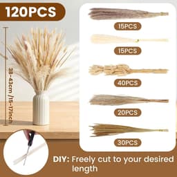 Gedroogd Pampasgras, 120 stuks Pampasdecoratie — thumbnail 4