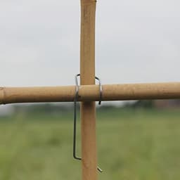 Bamboeknijpers voor Rankrekken - 50 Stuks voor het Bamboerooster — thumbnail 1