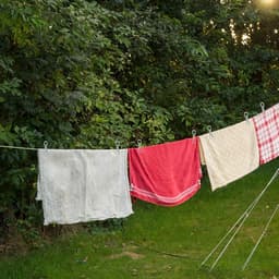Uittrekbare waslijn van 10 meter voor camping en reizen met 10 gespen en 20 wasknijpers — thumbnail 4