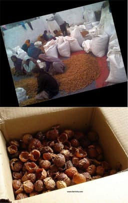 Wasnoten 1,5kg met 2 Waszakjes - Zeepnoten - Natuurlijk Wassen - 2x750gr — thumbnail 2