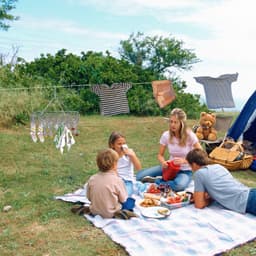 Droogcarrousel met 30 knijpers - RVS Wasrek Buiten - Droogmolen voor Sokken- Droogrek met wasknijpers voor Binnen & Buiten - Camping Wasdroger - Metalen Wasrek - Droogrek Hangend - Draaibare Wasstandaard Extra Stevig — thumbnail 5