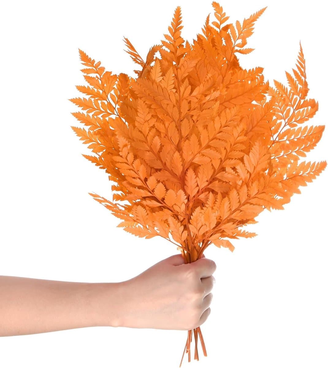 Varens 38,1 cm (15 inch) natuurlijk gedroogd blad met stelen voor slinger voor bruiloft / huisboeket / feestjes om zelf te maken, gedroogde planten [oranje] — afbeelding 1