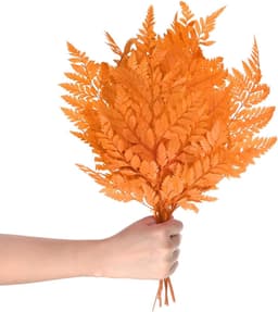 Varens 38,1 cm (15 inch) natuurlijk gedroogd blad met stelen voor slinger voor bruiloft / huisboeket / feestjes om zelf te maken, gedroogde planten [oranje] — thumbnail 1
