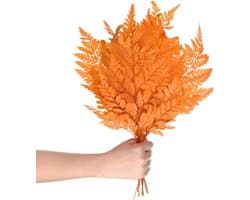 Varens 38,1 cm (15 inch) natuurlijk gedroogd blad met stelen voor slinger voor bruiloft / huisboeket / feestjes om zelf te maken, gedroogde planten [oranje]