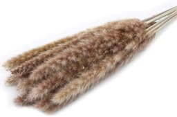 Gedroogde Bloemen, Pampas Gras DIY Handgemaakte Valentijnsdag Bruiloft Woondecoratie Boeket Pampas Grass (Color : Brown) — thumbnail 1