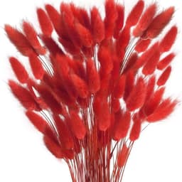 Gedroogd pampasgras, konijnenstaart, gras, 60 stuks, natuurlijke droogbloemen, boeket, decoratie, kunst, groot, droogbloemen, pampasgras voor interieur, fotografie, bruiloft, rood — thumbnail 1