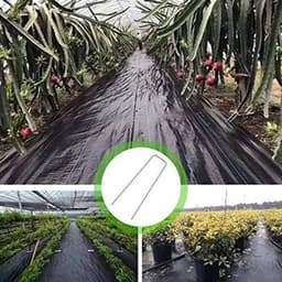 50 Stuks Grondankers voor Onkruidvlies | Verzinkt | Roestbestendig | 200 mm lang | Ø 2,5 mm | Tuinaccessoires — thumbnail 2