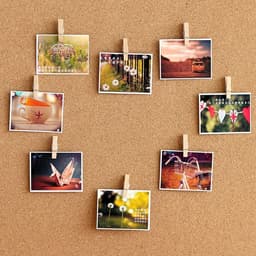 50 Stuks Houten Push Pin Clips voor Notities en Foto's - Ideaal voor Kurkbord en Muurdecoratie — thumbnail 2