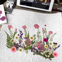 Gedroogde bloemen decoratie gedroogde bloemen kleurrijke gedroogde bloemen dried geperste bloemen voor hars sieraden maken doe-het-zelf kaarsen hanger telefoonhoesjes fotolijst — thumbnail 5