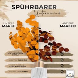 Black Week Birkental eucalyptus - extra duurzame en 65-70 cm lange droogbloemen decoratie - gedroogde eucalyptus - gedroogde bloemen, vaas droogbloemen boeket, boho decoratie (oranje) — thumbnail 3