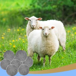 Allecto - Drogerballen - Vilten ballen - Herbruikbaar - Wit — thumbnail 5