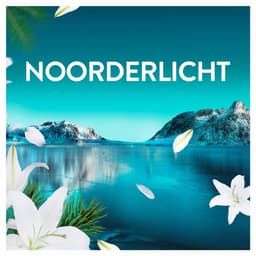 Lenor Wasverzachter Fresh Air Noorderlicht 36 Wasbeurten - 504 ml — thumbnail 4