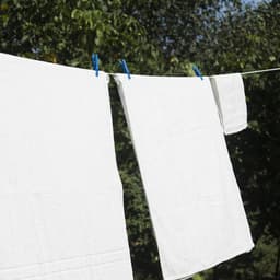 Waslijn - Drooglijn - Was ophangen - Roestvrij materiaal - 20 meter - Transparant — thumbnail 2
