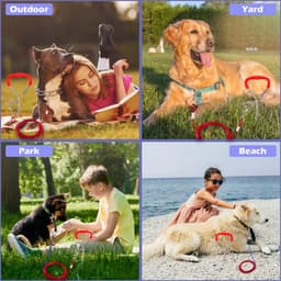 40 cm spiraalanker met 5 mm x 3 m stalen kabel grondanker om in te schroeven, 80 kg trekkracht, voor puppy's, huisdieren en middelgrote honden, camping, hond, accessoires voor tuin, weide, reizen — thumbnail 2