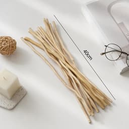 Gedroogde wilgentakken, decoratie, boeket gedroogde bloemen, eucalyptus en dennenappels, plant, decoratie voor rustiek, boho, tafel, huis, woonkamer, bruiloft — thumbnail 4
