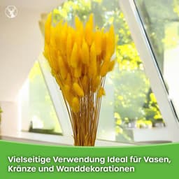 Dekogras, gedroogd gras, siergras, hazenstaarten, lagurus, ovatus, fluweelgras, haasstaartgras, droogbloemen, natuurlijk boho, 120 - 150 stuks, 100 g, parelroze — thumbnail 3