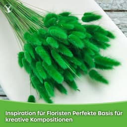 Dekogras Gedroogd Gras Siergras Haasenstaart Lagurus Ovatus Samtgras Haasenstaartgras Droogbloemen Natuurlijk Boho 120 - 150 stuks 100 g Zwart — thumbnail 3