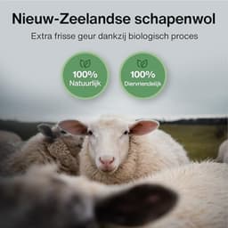 Elzusha - XL Droogballen van 100% Nieuw-Zeelandse Schapenwol — thumbnail 5