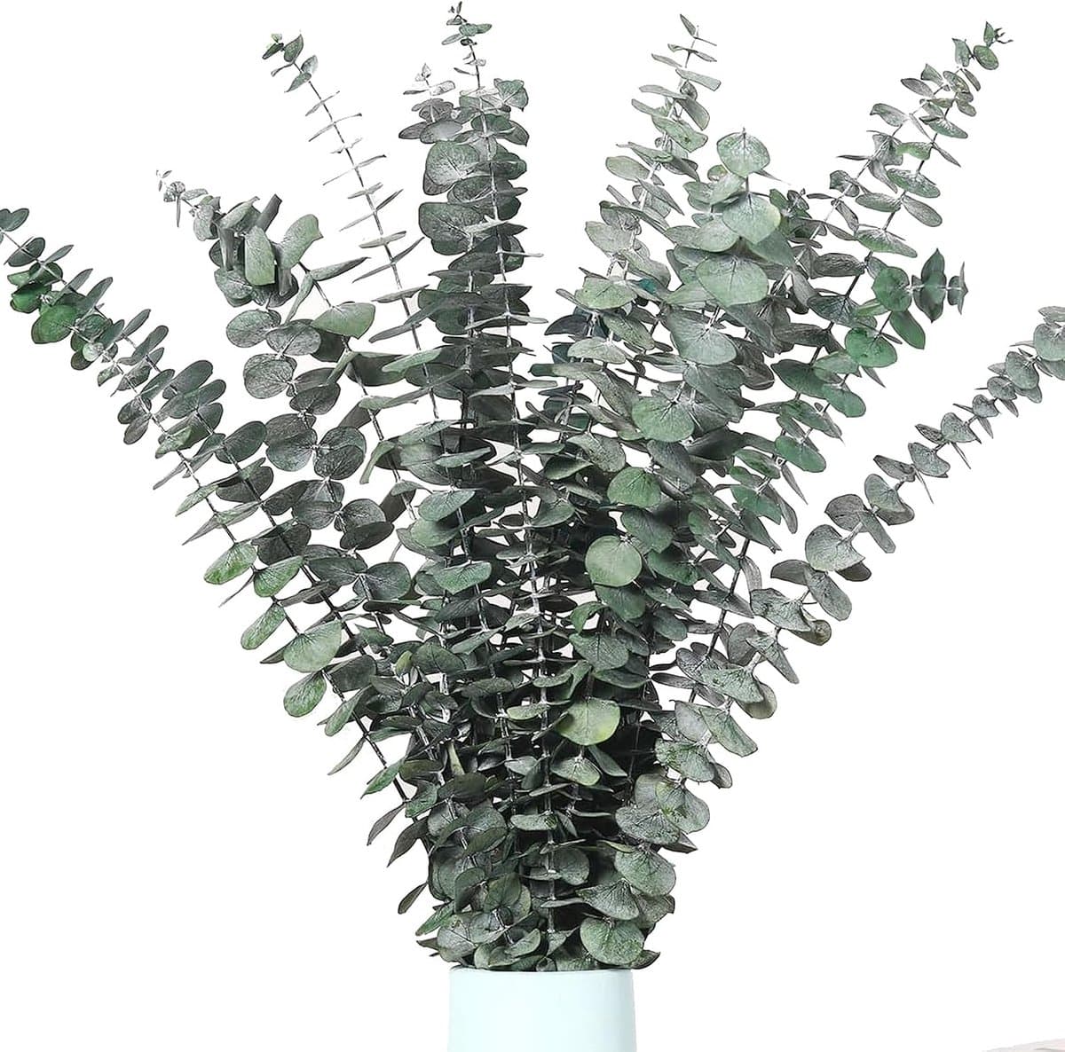 Gedroogde eucalyptustakken, 43 cm, natuurlijke gedroogde bloemen, decoratie — afbeelding 1