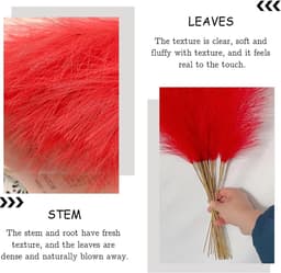 Gedroogde bloemen, pampasgras, decoratie, woonkamer, gedroogde bloemen, wollig faux boho voor het decoreren van de slaapkamer, woonkamer, bruiloft (rood) — thumbnail 5