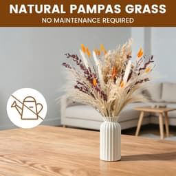Gedroogd Pampasgras, 66 stuks Pampasdecoratie — thumbnail 2
