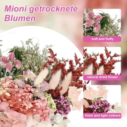 Gedroogde bloemen decoratieset, natuurlijk boeket droogbloemen, decoratie om te knutselen, met 2 clips en 20 rond dubbelzijdig plakband, 15 mm, voor woonkamer, huishouden, tafeldecoratie (kleur 1) — thumbnail 2