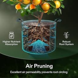 Kweekzakken 5-pack 20L - Dikke vliesstof met handgrepen voor aardappelen, tomaten en aardbeien — thumbnail 2