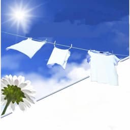 Waslijn Touw - Stalen Waslijn - Kleding Drogen - PVC Gecoat - 20 Meter - Champagne — thumbnail 3