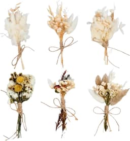 Gedroogde bloemen, kleine gedroogde bloemen, gedroogde bloemen om mee te knutselen, natuurlijke gedroogde boeketten voor fotolijsten, DIY, huisfeestjes en bruiloftsdecorat — thumbnail 4