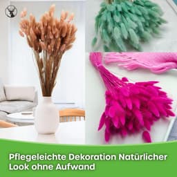 Dekogras Gedroogd Gras Siergras Haasenstaart Lagurus Ovatus Samtgras Haasenstaartgras Droogbloemen Natuurlijk Boho 120 - 150 stuks 100 g Zwart — thumbnail 5