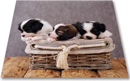 Papillon Wasmachine Beschermer - Antislip mat - 60x60 cm – Puppies — thumbnail 1