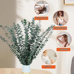 Gedroogde eucalyptustakken, 43 cm, natuurlijke gedroogde bloemen, decoratie — thumbnail 3