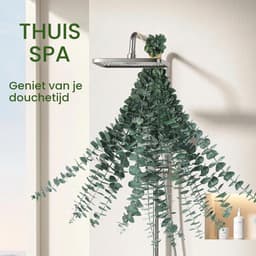 Gedroogde eucalyptustakken, 43 cm, natuurlijke gedroogde bloemen, decoratie — thumbnail 5