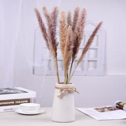 Gedroogde Bloemen, Pampas Gras DIY Handgemaakte Valentijnsdag Bruiloft Woondecoratie Boeket Pampas Grass (Color : Brown) — thumbnail 2