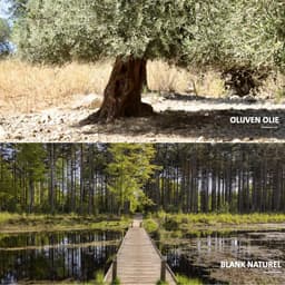 Marseille zeepvlokken katoenbloesem | 1 kg | Zuinig Ecologisch Milieuvriendelijk Hypoallergeen | Zonder conserveermiddel Zonder kleur | Le Serail — thumbnail 3