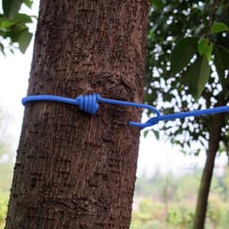 Elastische Waslijn voor Buiten - Draagbare Waslijn met 12 Clips, Verstelbaar van 180 tot 360 cm — thumbnail 2