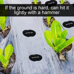 20 stuks haringen voor tuin en campingtent met mulchzeil en kunstgrasbevestiging — thumbnail 5